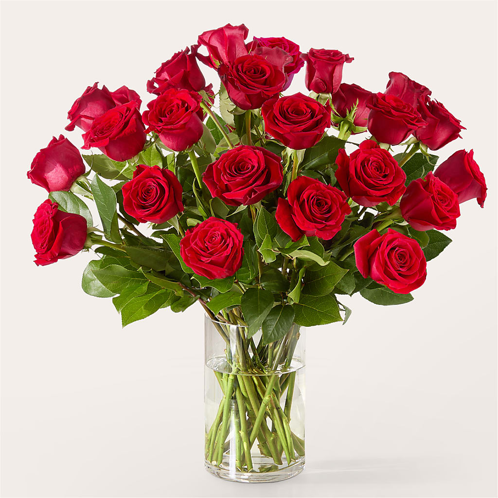 The One Red Rose Bouquet –  Heavenly Plants, Regina SK