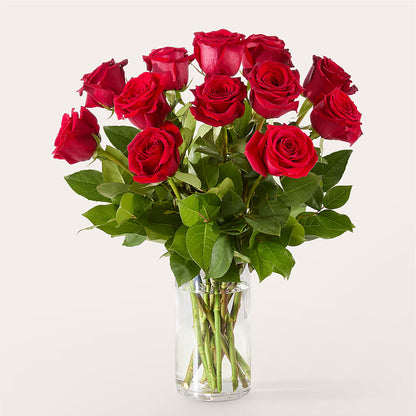 The One Red Rose Bouquet –  Heavenly Plants, Regina SK