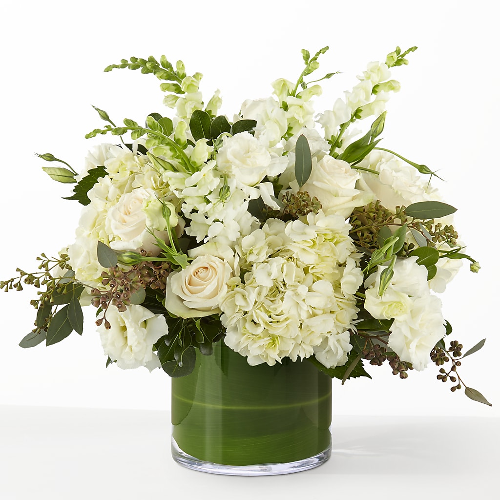 The Gallery –  Heavenly Plants, Regina SK