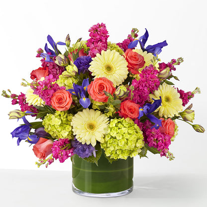 The Couture –  Heavenly Plants, Regina SK