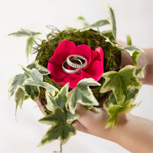 Nid d'anneau Lila Rose