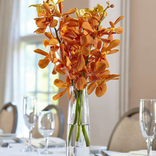 Vase à bourgeons orange Mokara