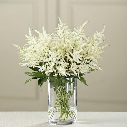 Bouquet d'astilbes blanches