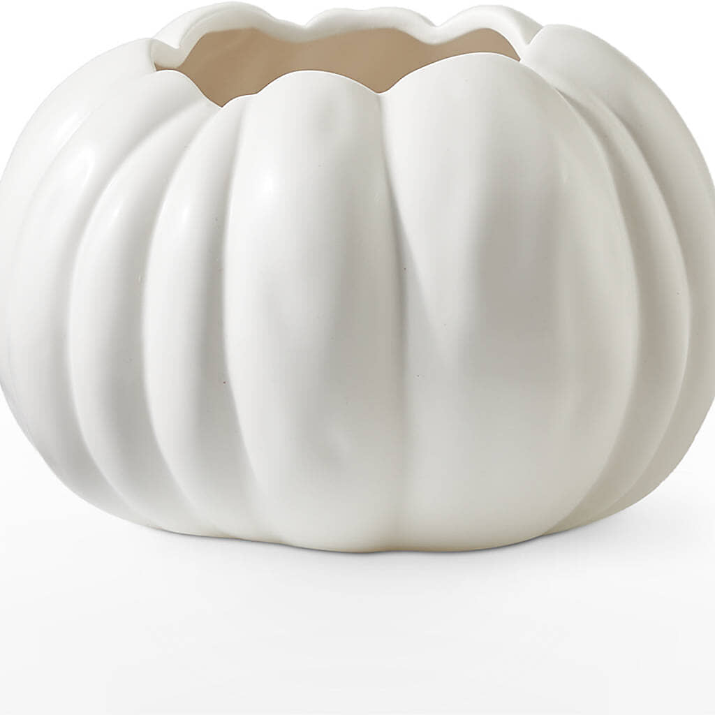 Pumpkin to Talk About Bouquet –  Heavenly Plants, Regina SK